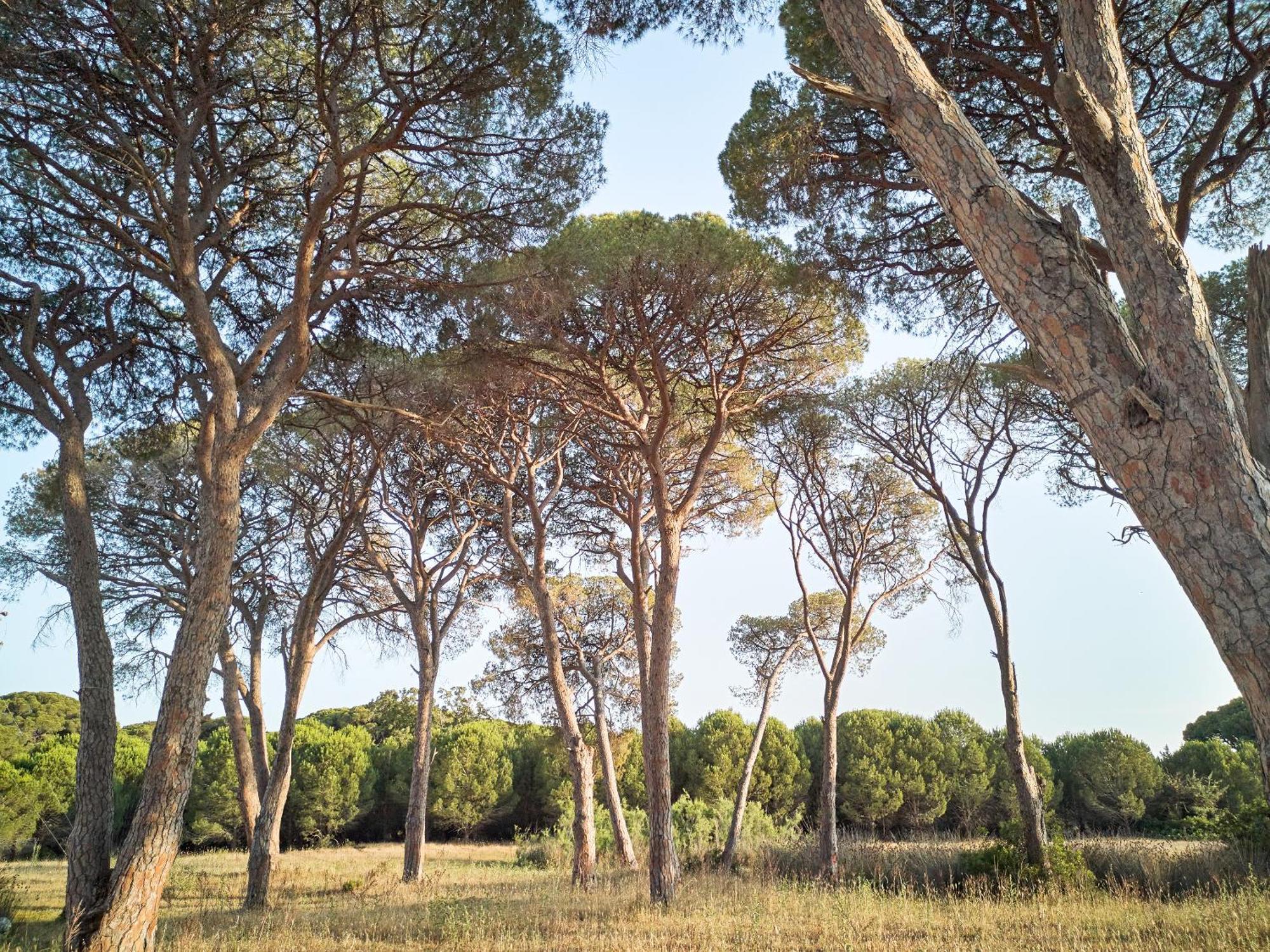 Grecotel Casa Marron Lakopetra Екстер'єр фото